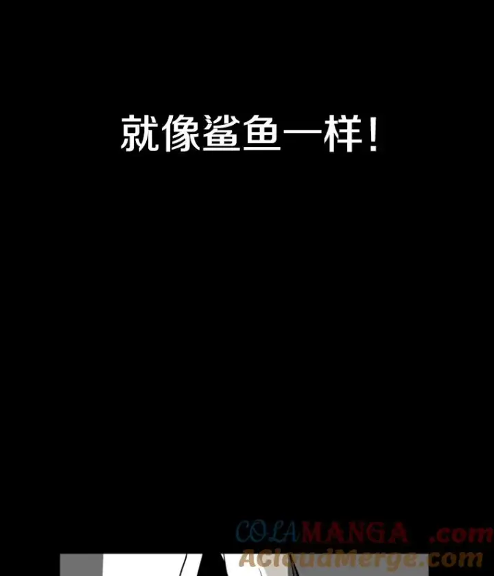 《鲨鱼》0.鲨鱼图11