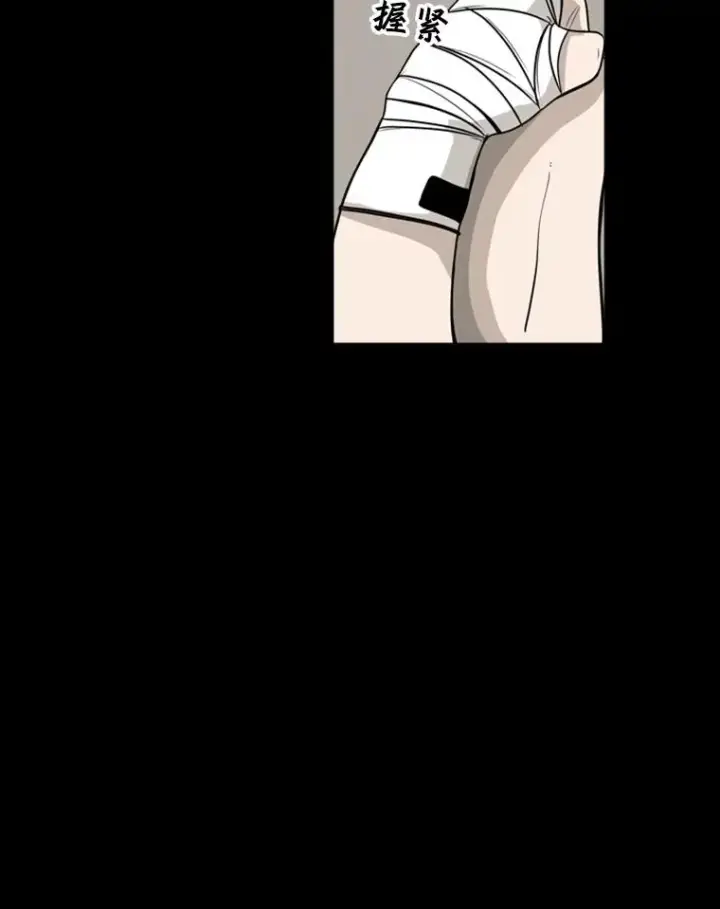 《鲨鱼》0.鲨鱼图14