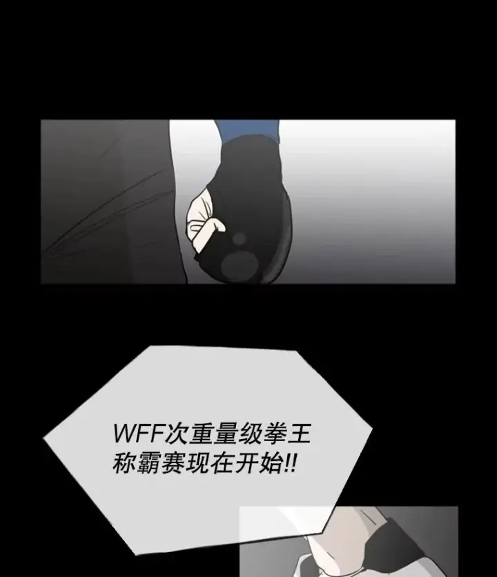 《鲨鱼》0.鲨鱼图18