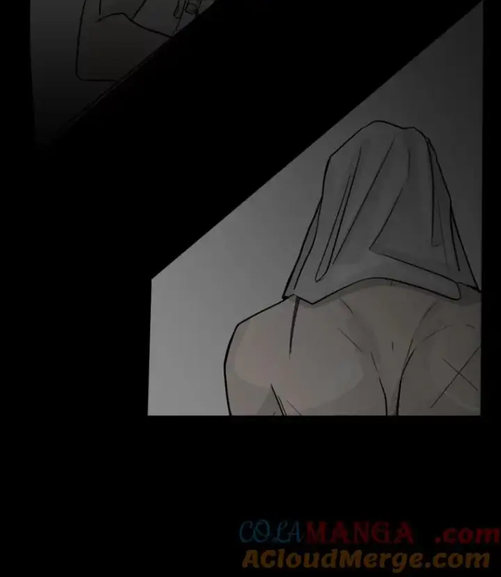 《鲨鱼》0.鲨鱼图5