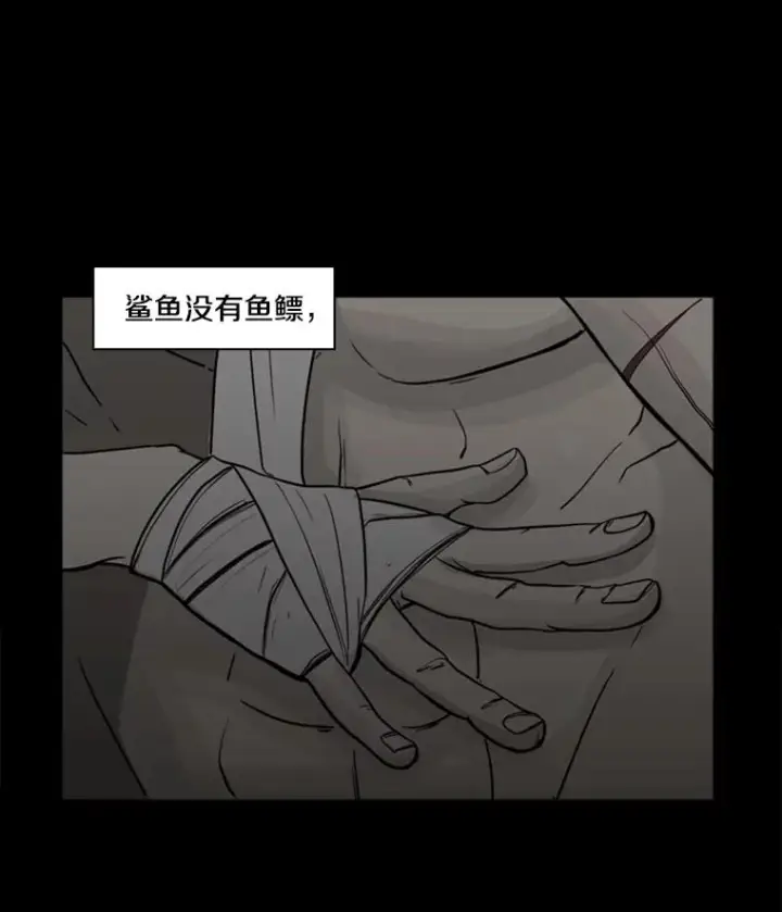 《鲨鱼》0.鲨鱼图6
