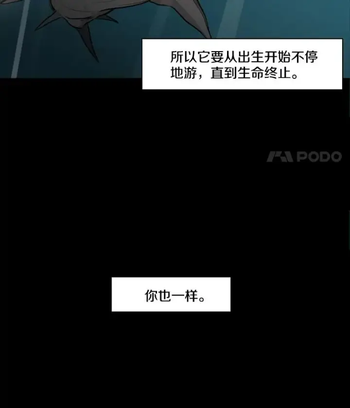 《鲨鱼》0.鲨鱼图8