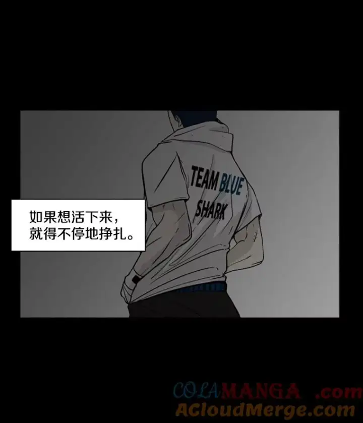 《鲨鱼》0.鲨鱼图9