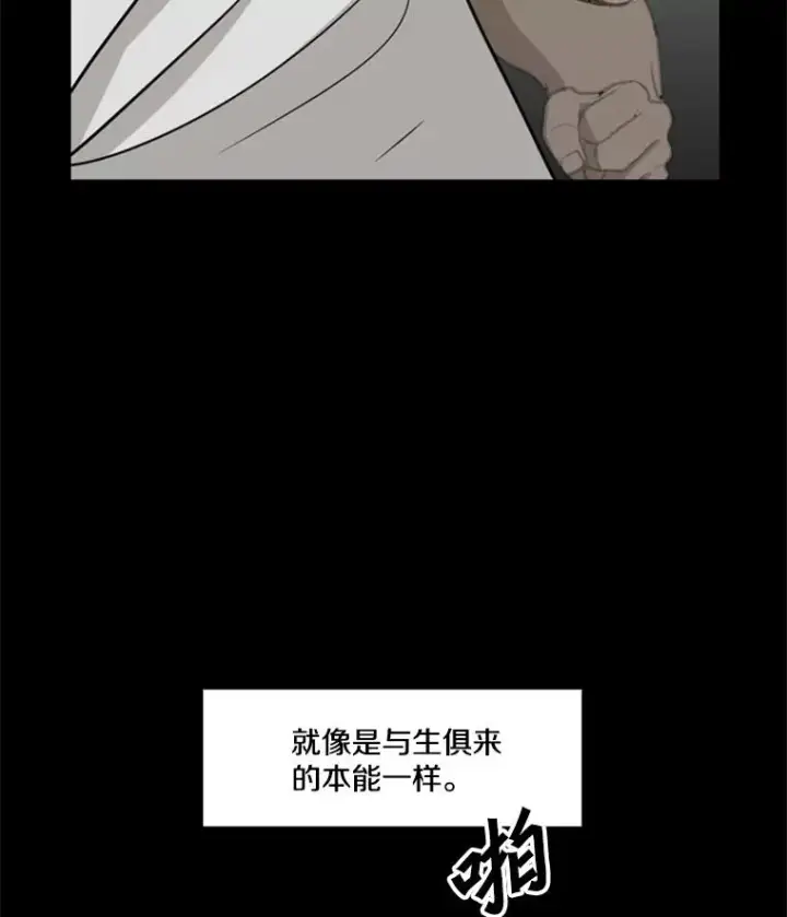 《鲨鱼》9.复仇宣言图11