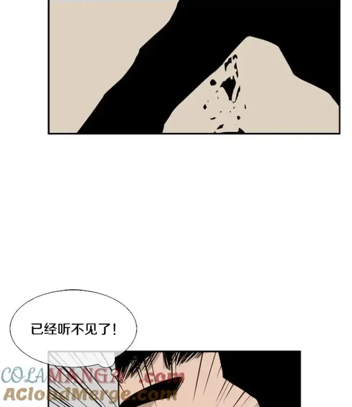 《鲨鱼》11.履行约定图33