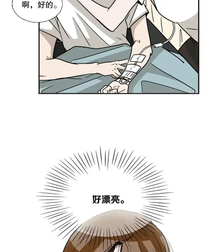 《鲨鱼》11.履行约定图62