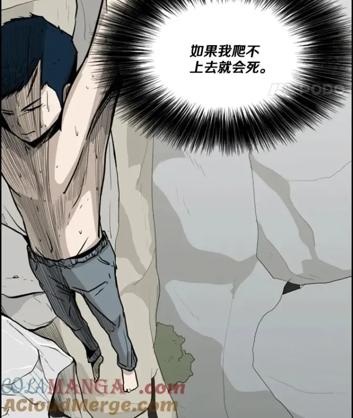 《鲨鱼》12.第一步图89