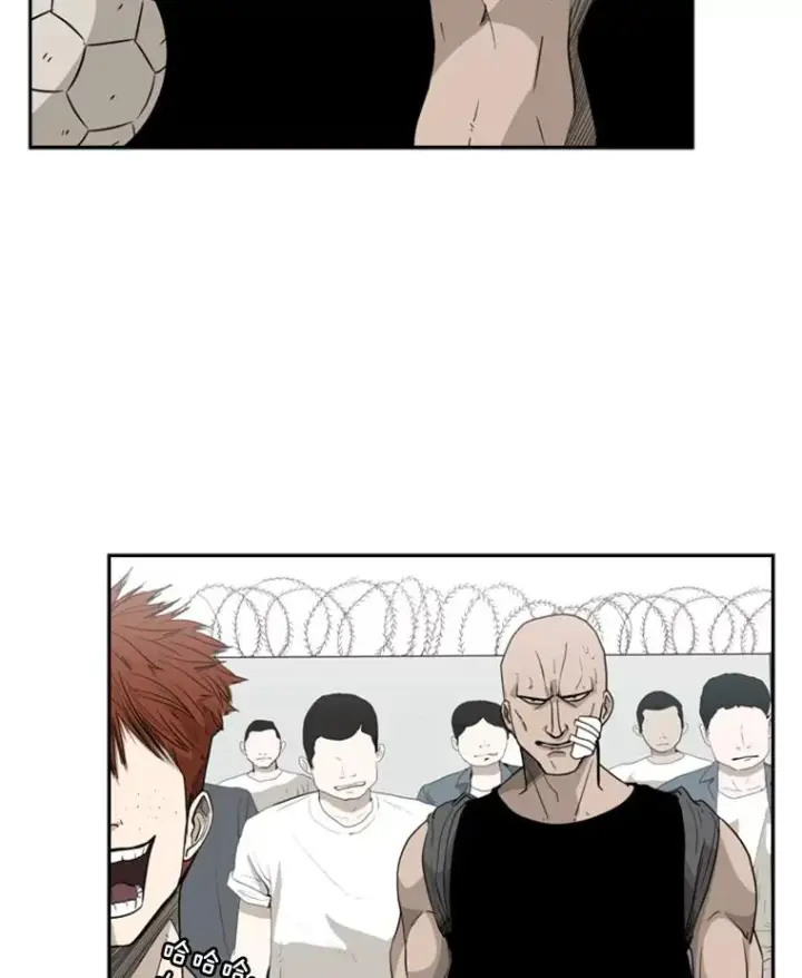 《鲨鱼》14.锻炼图36