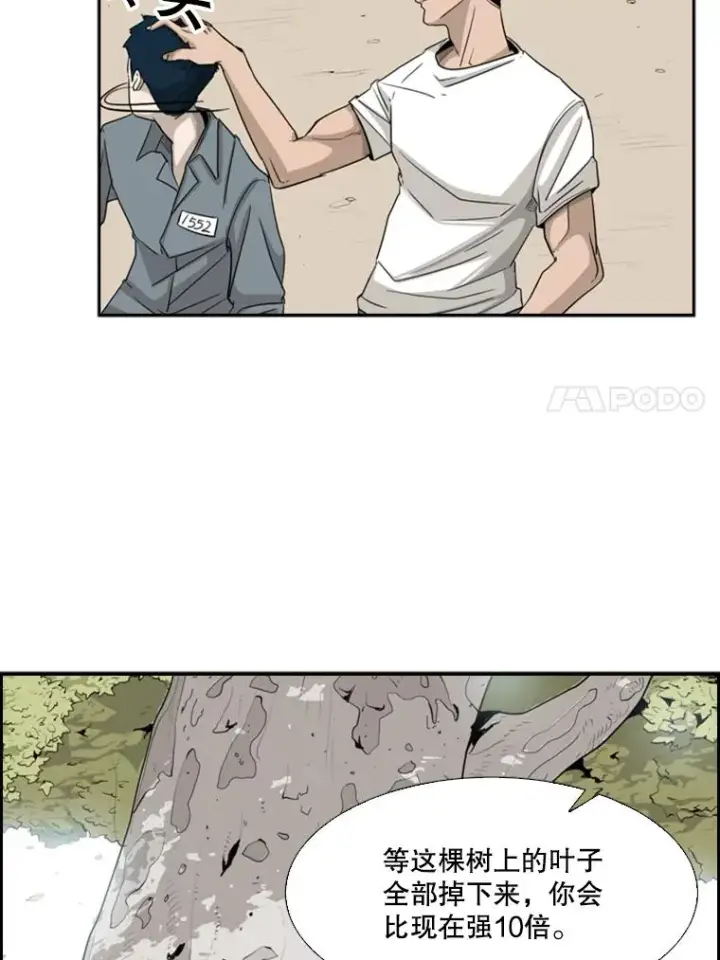 《鲨鱼》14.锻炼图47