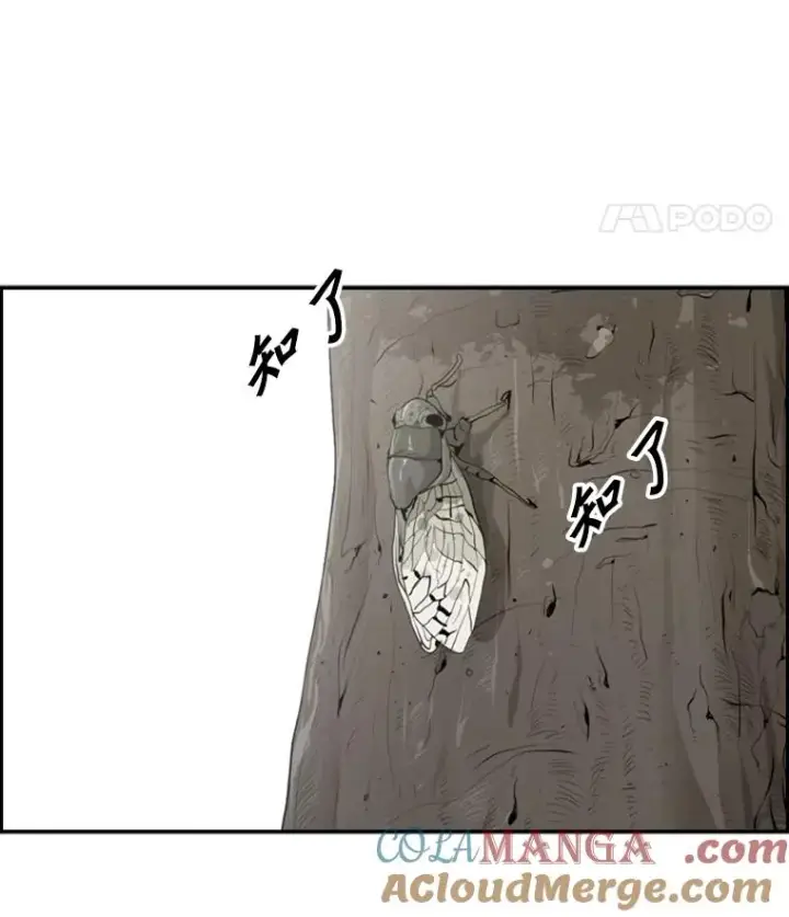 《鲨鱼》14.锻炼图89