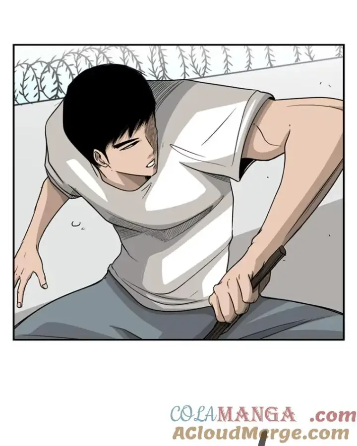 《鲨鱼》18.发现图13