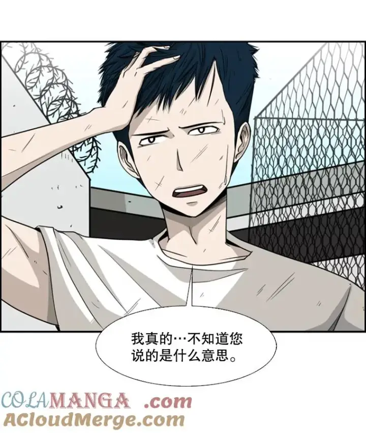 《鲨鱼》18.发现图17