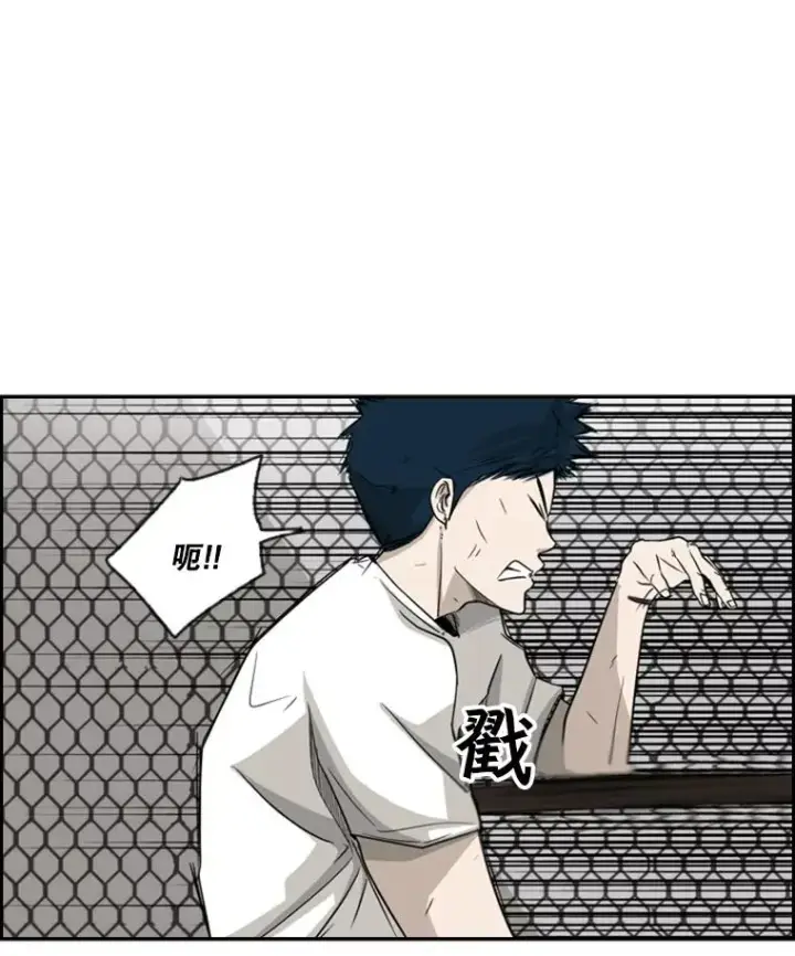 《鲨鱼》18.发现图3