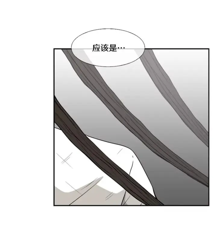 《鲨鱼》18.发现图34