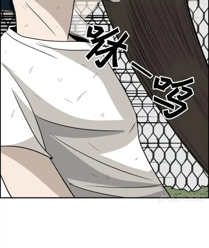 《鲨鱼》18.发现图44
