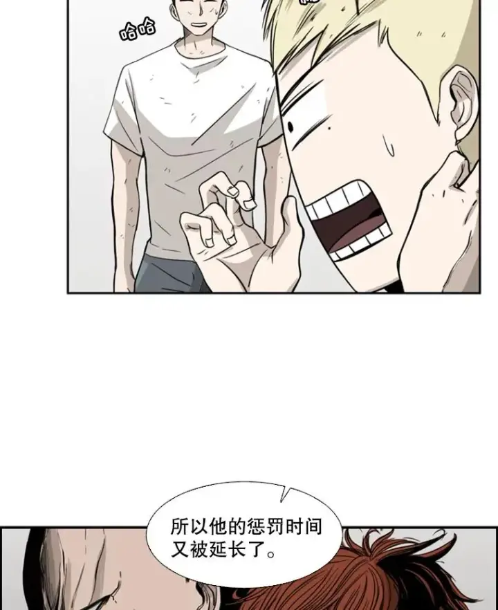 《鲨鱼》18.发现图95