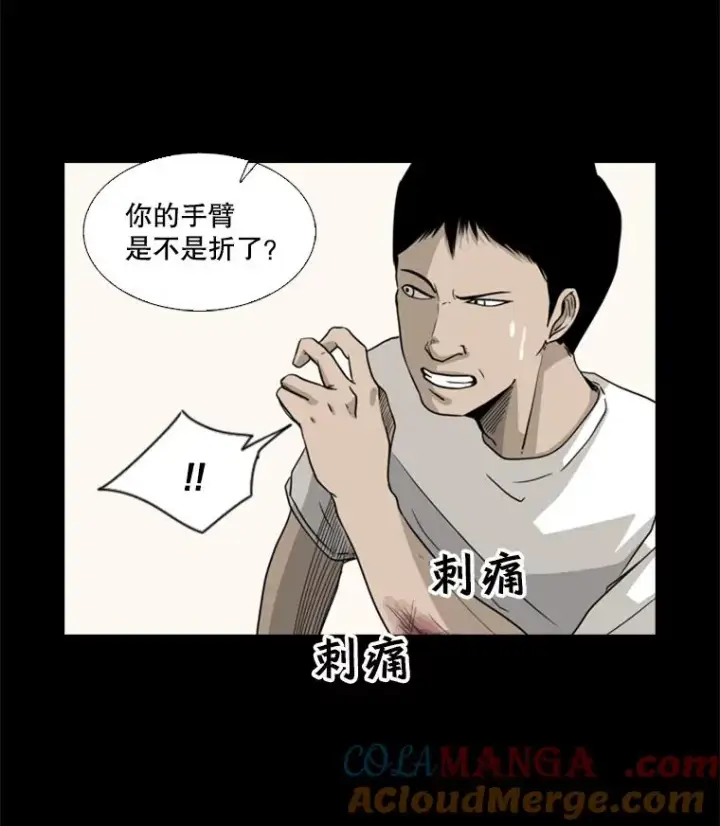 《鲨鱼》19.联盟图19
