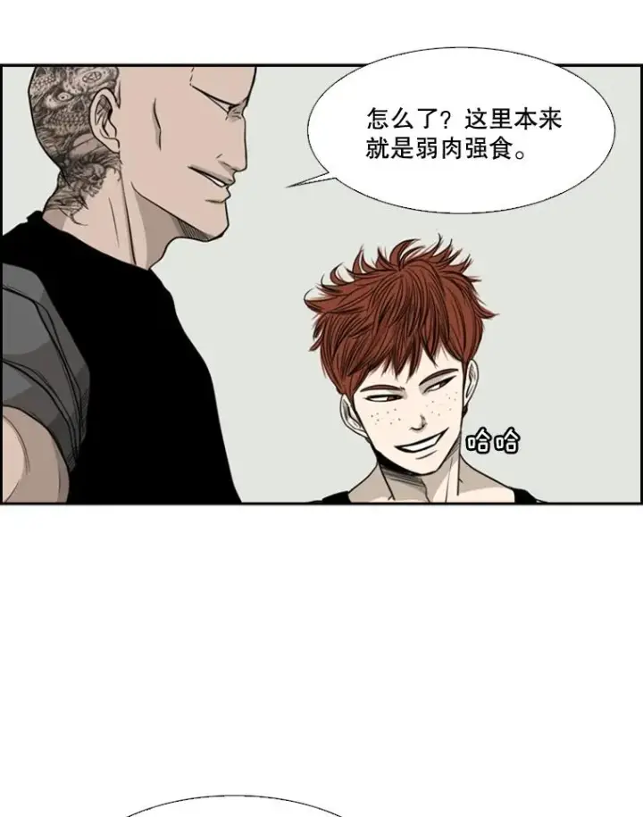 《鲨鱼》21.挑衅图59
