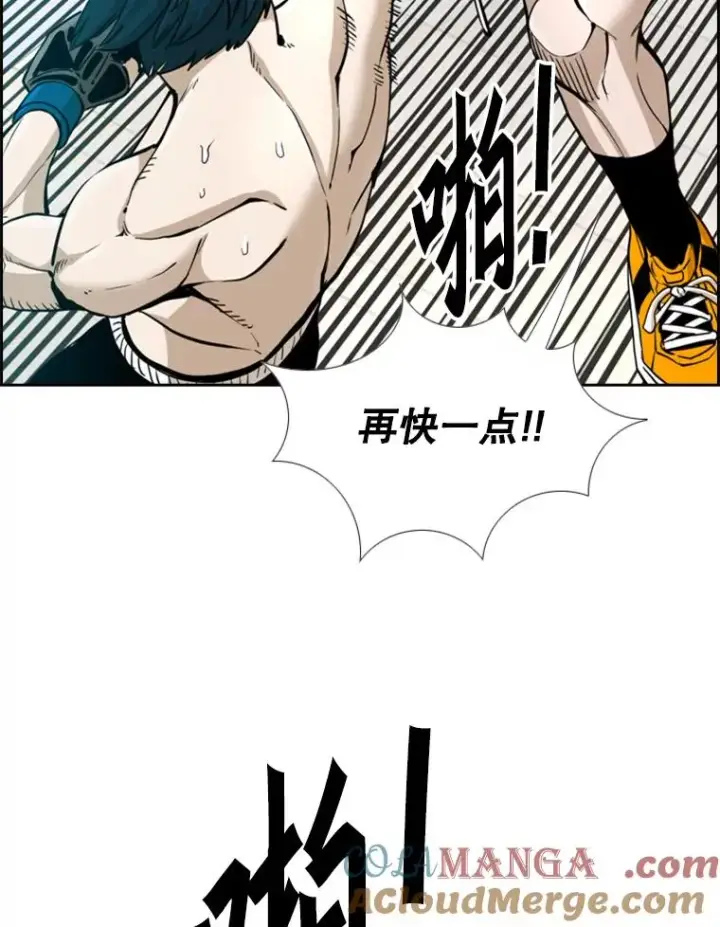 漫画《鲨鱼》247.对战宣言第101张图