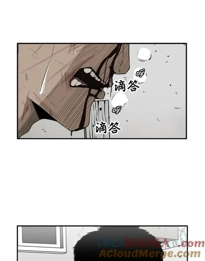 《鲨鱼》24.这里是医院图5