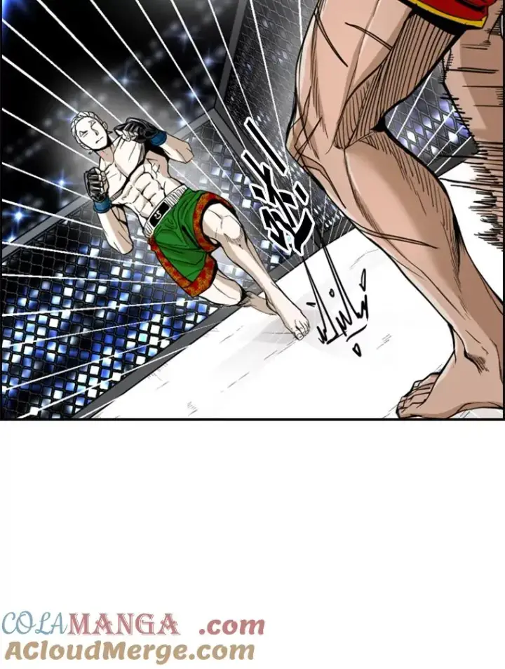 漫画《鲨鱼》250.塔纳永与亚绪之战第81张图