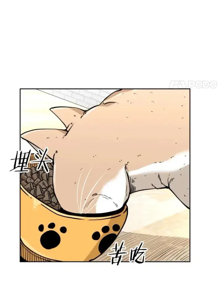 漫画《鲨鱼》261.古斯塔沃的对战请求第91张图