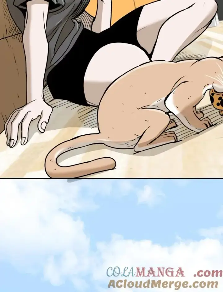 漫画《鲨鱼》261.古斯塔沃的对战请求第93张图