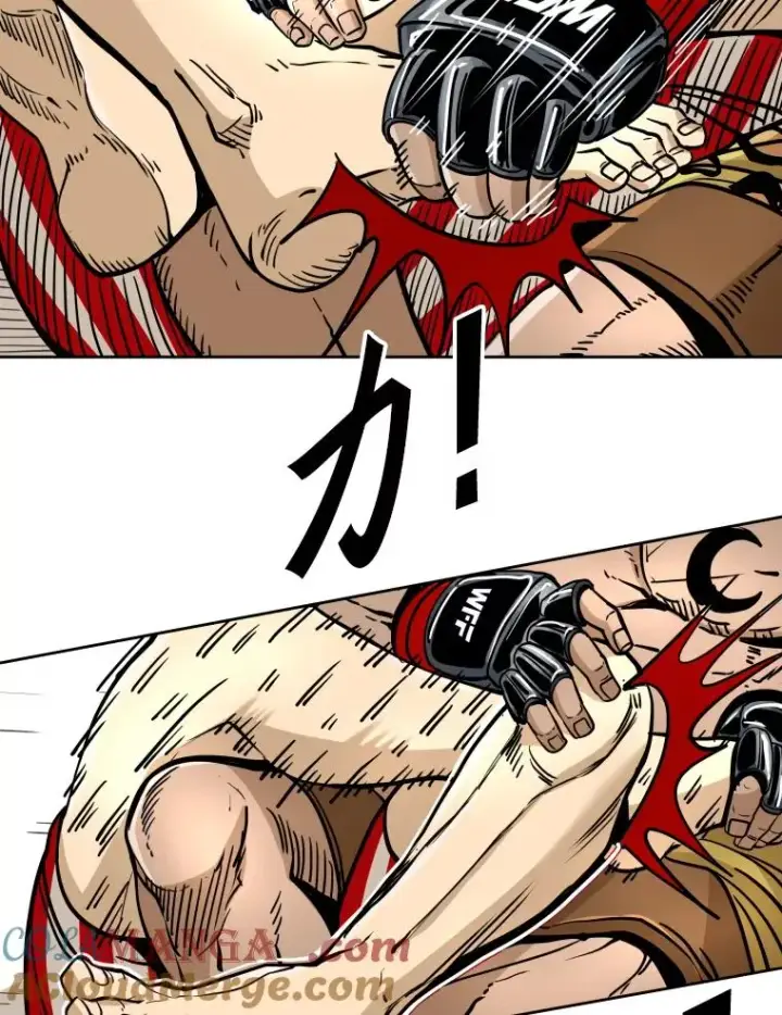 漫画《鲨鱼》270.捷豹与神盾之战（2）第29张图