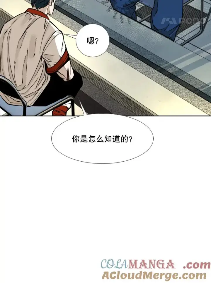 漫画《鲨鱼》278.擂台赛准备第21张图