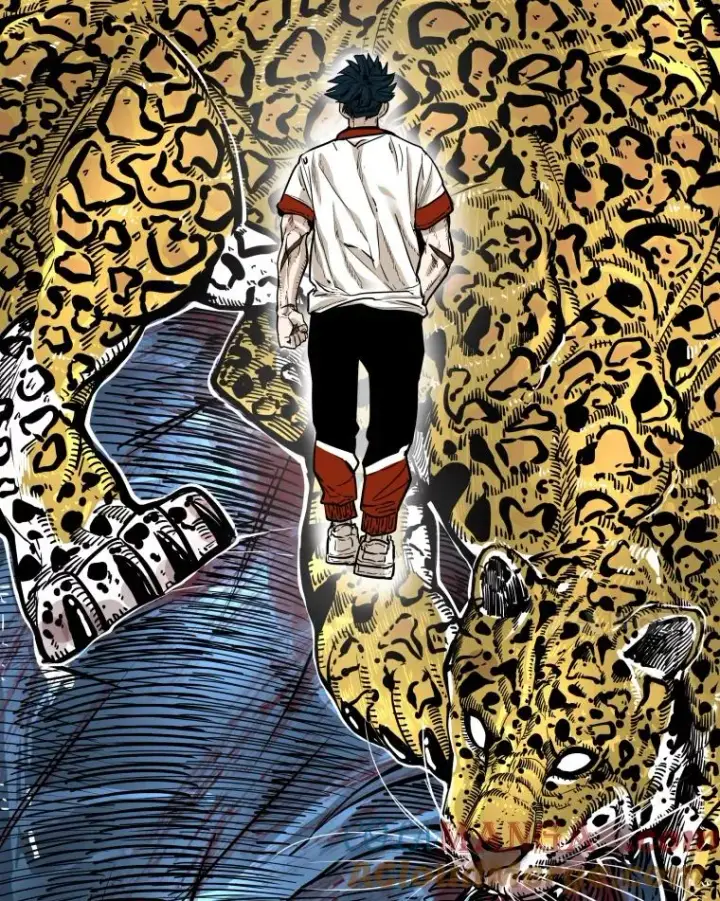 漫画《鲨鱼》278.擂台赛准备第53张图