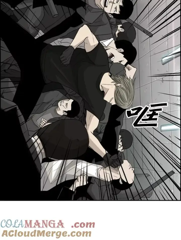 《鲨鱼》27.误算图40