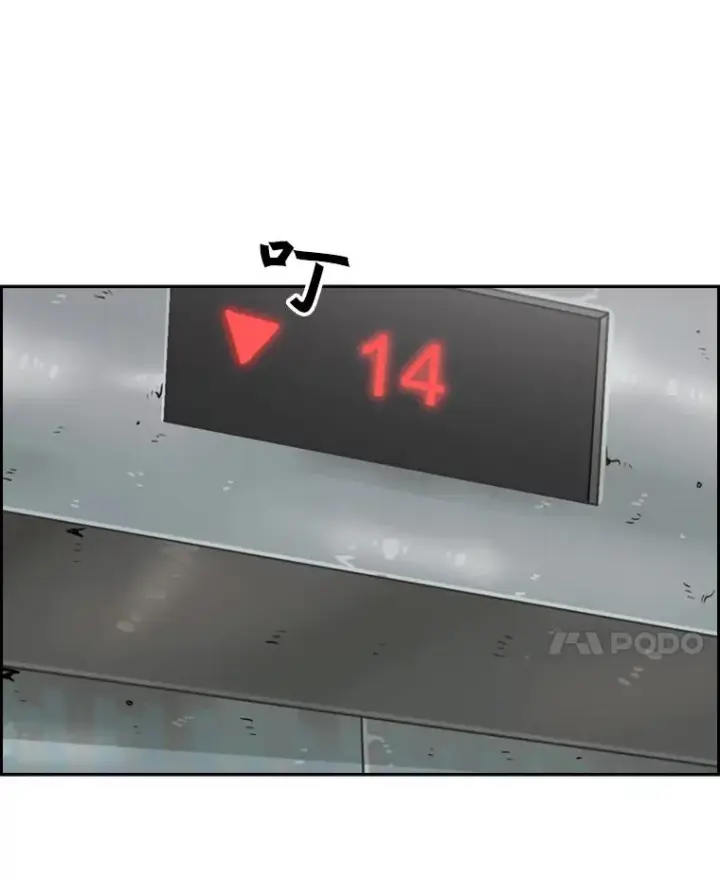 《鲨鱼》27.误算图81