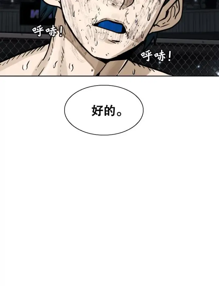 《鲨鱼》285.与维多之战（4）图135