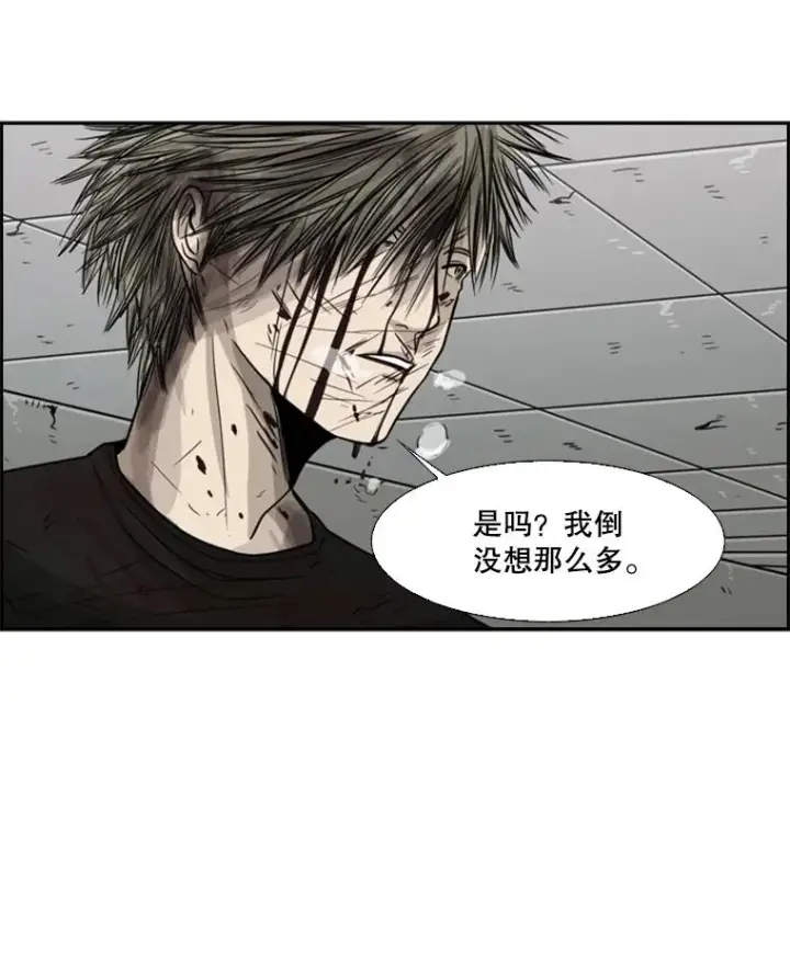 《鲨鱼》28.确定图10