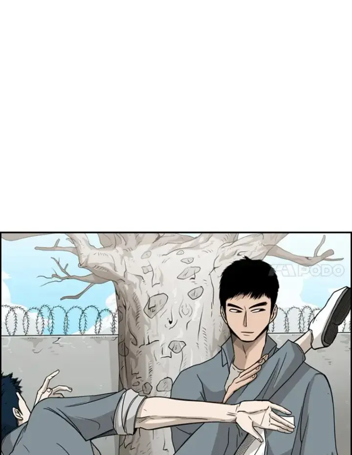 《鲨鱼》28.确定图100