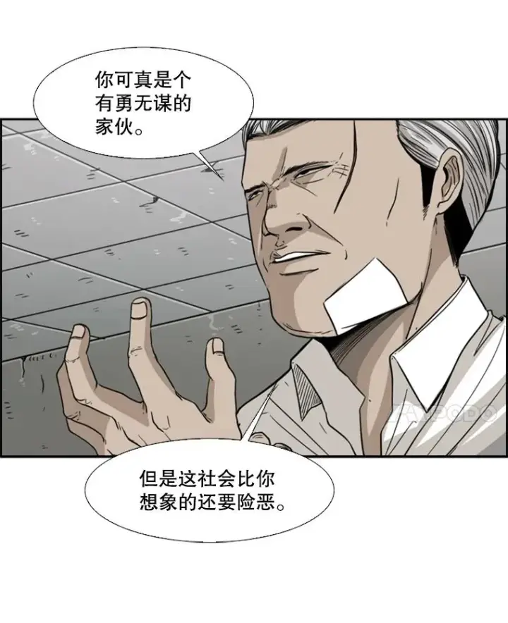 《鲨鱼》28.确定图11