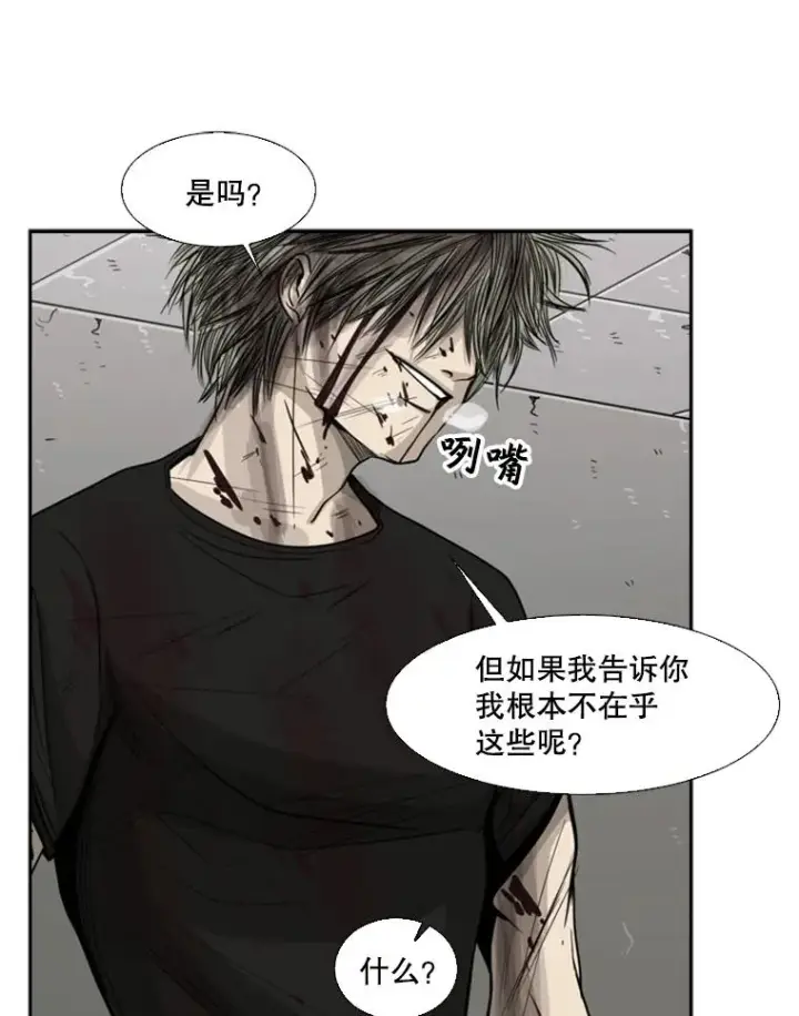 《鲨鱼》28.确定图12