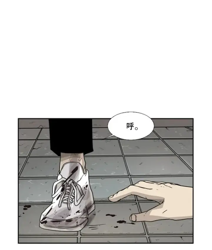 《鲨鱼》28.确定图2