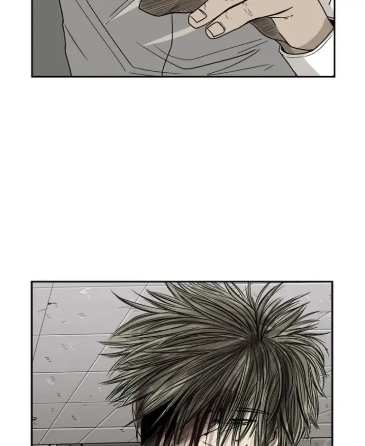《鲨鱼》28.确定图22