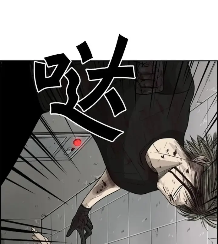 《鲨鱼》28.确定图24