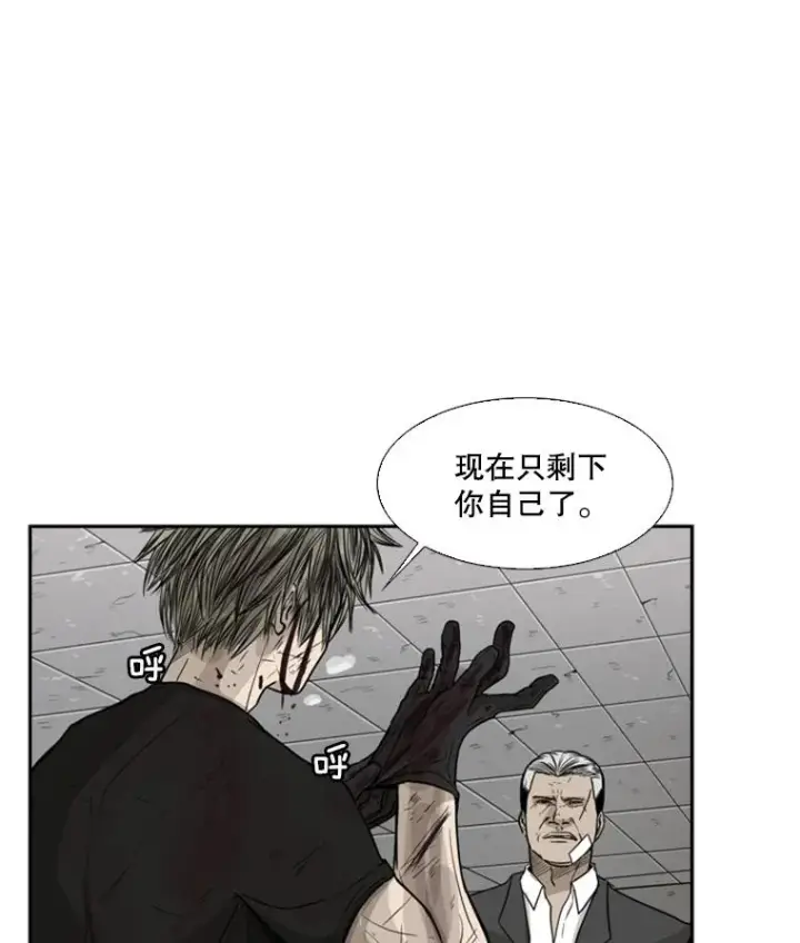 《鲨鱼》28.确定图3