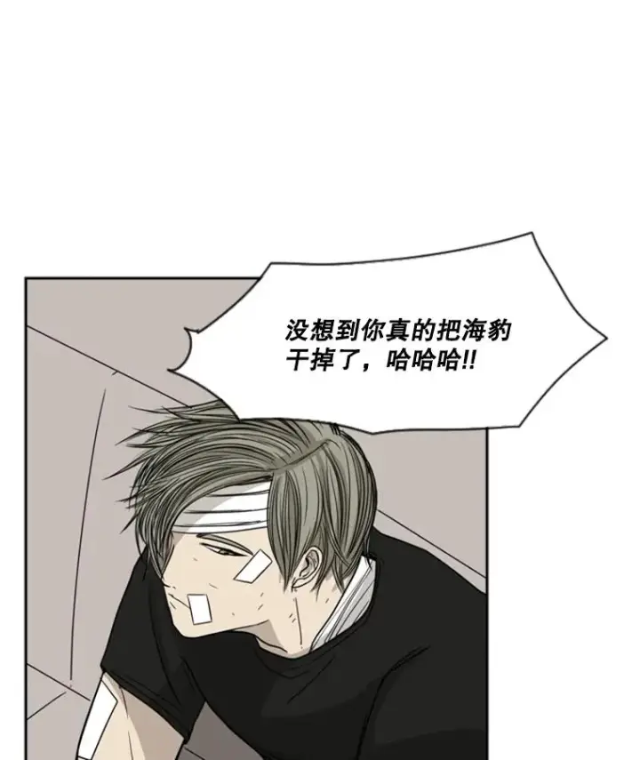 《鲨鱼》28.确定图31
