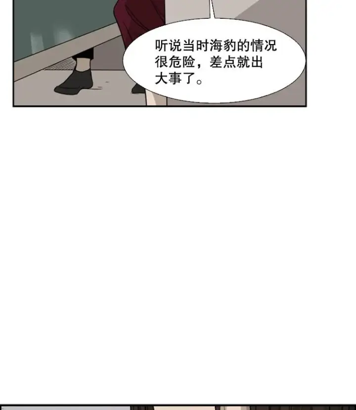 《鲨鱼》28.确定图38