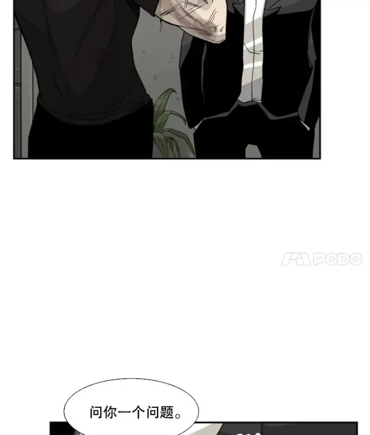 《鲨鱼》28.确定图4