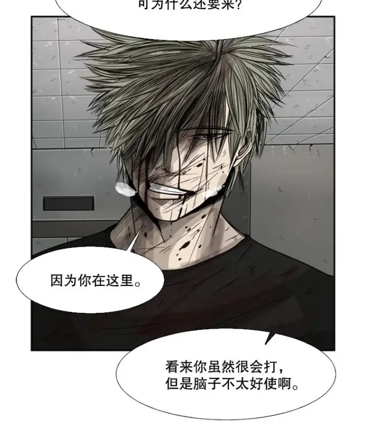 《鲨鱼》28.确定图6