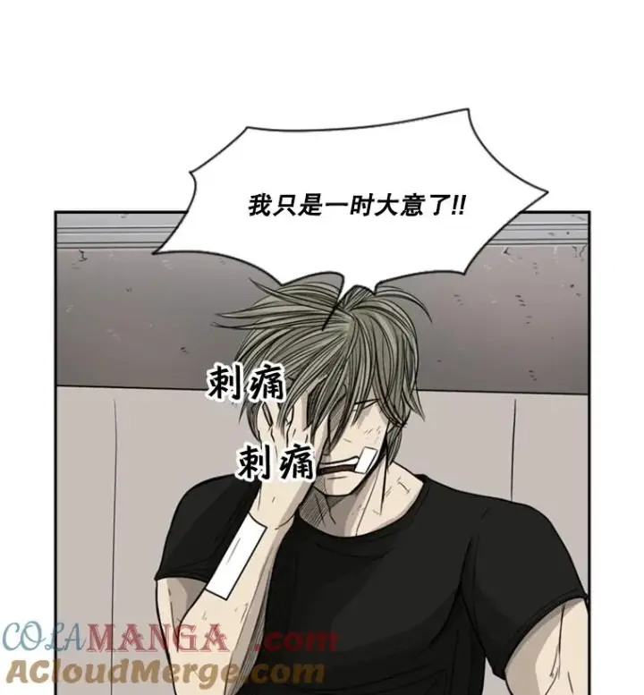 《鲨鱼》28.确定图61