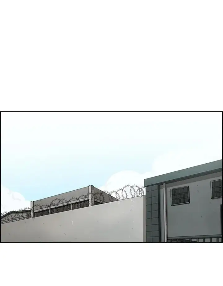 《鲨鱼》28.确定图71