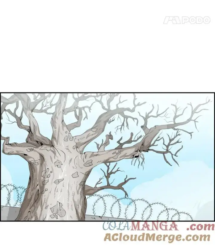 《鲨鱼》28.确定图73