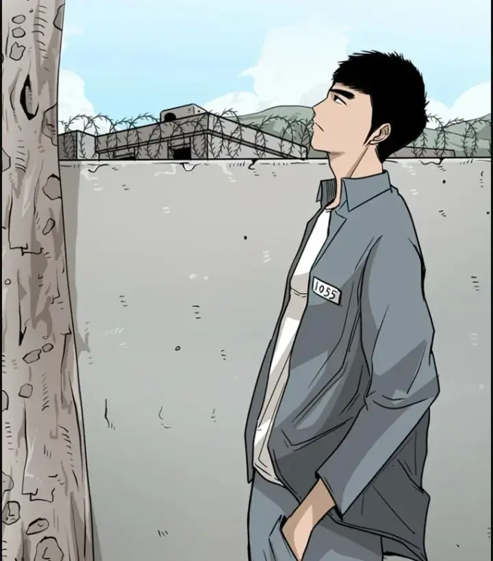 《鲨鱼》28.确定图75