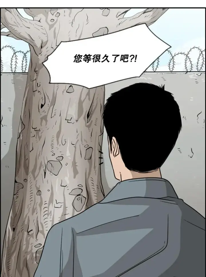 《鲨鱼》28.确定图79